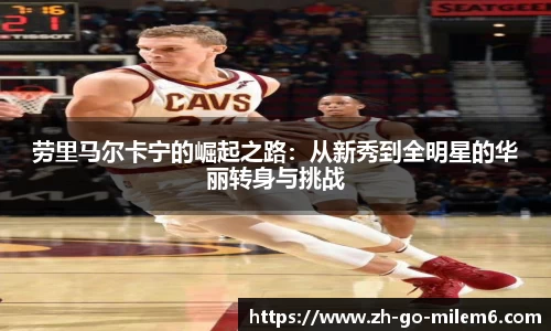 米乐M6官网